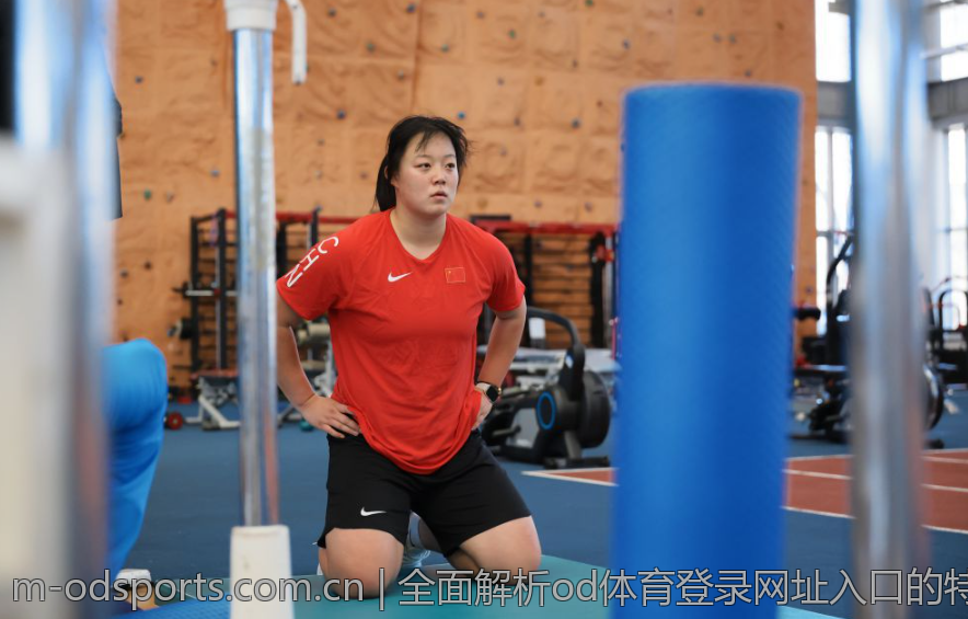 全面解析od体育登录网址入口的特色功能